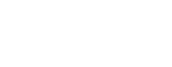 Newsom Consulting